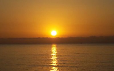 Friday Morning Motivation – #Sommersonnenwende