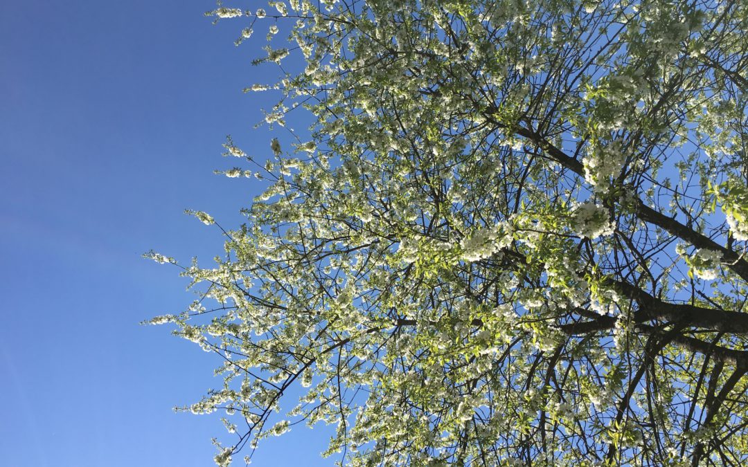 Frühling: die Sonne ist da