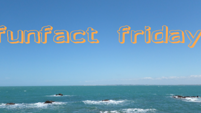 Friday Morning Motivation #funfactfriday