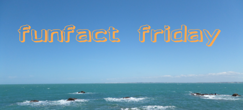 Friday Morning Motivation #funfactfriday