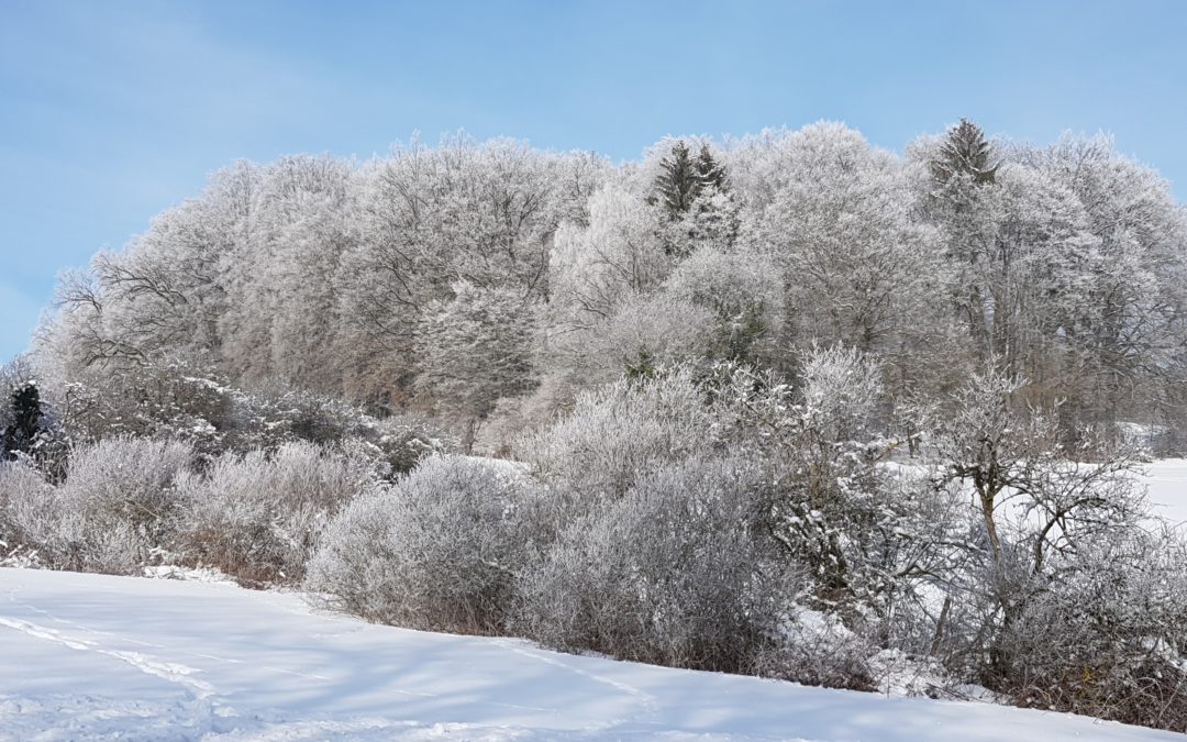 Firday Morning Motivation #life