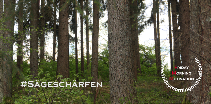 Wald mit Bäumen